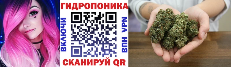 продажа наркотиков  blacksprut вход  Марихуана SATIVA & INDICA  Сухиничи 